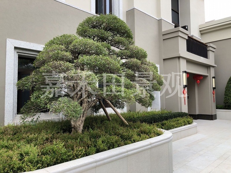 別墅景觀設(shè)計(jì)綠化環(huán)境分為哪幾部分？